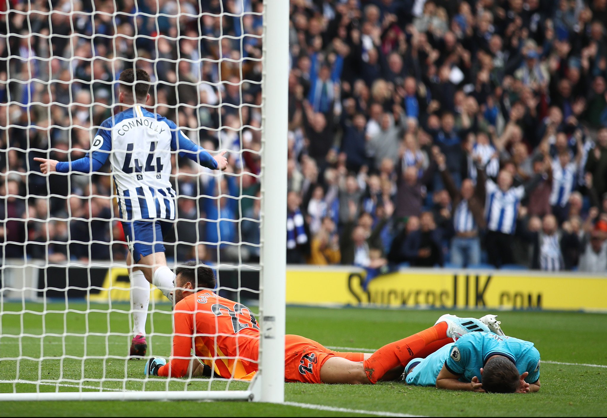 迷们的心 迷们的心