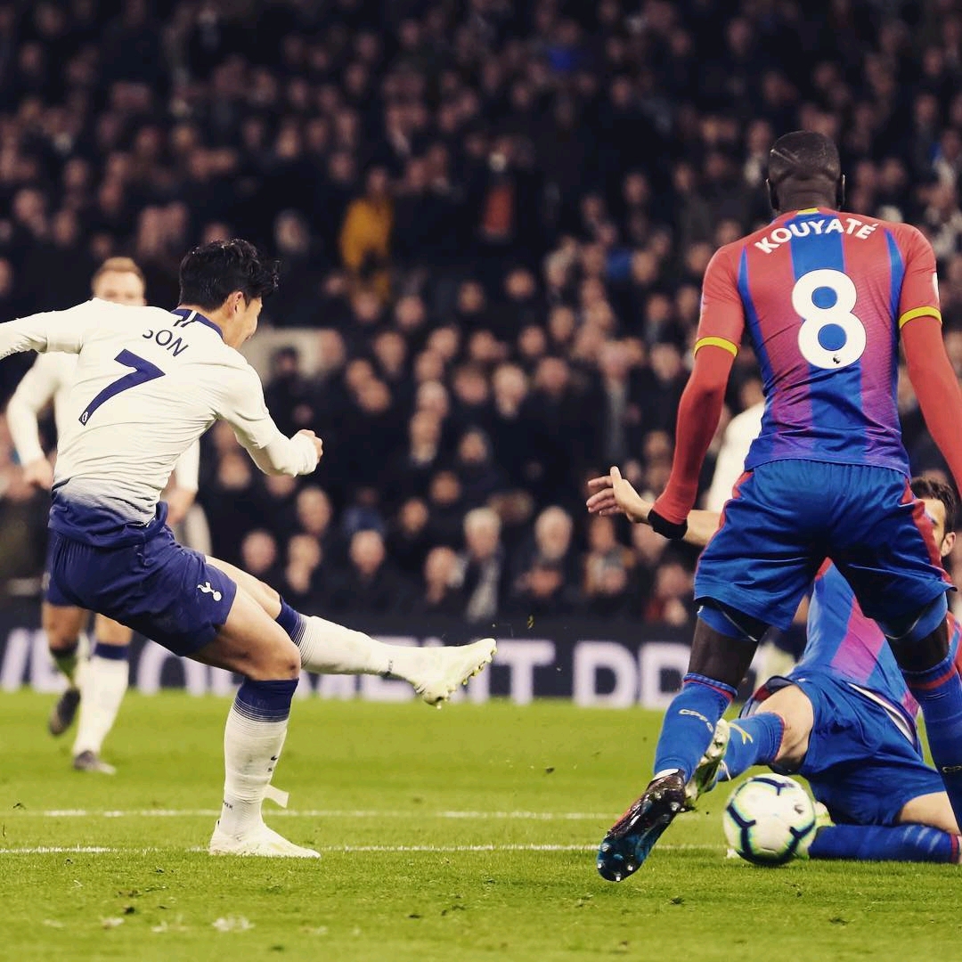 可以看到 可以看到